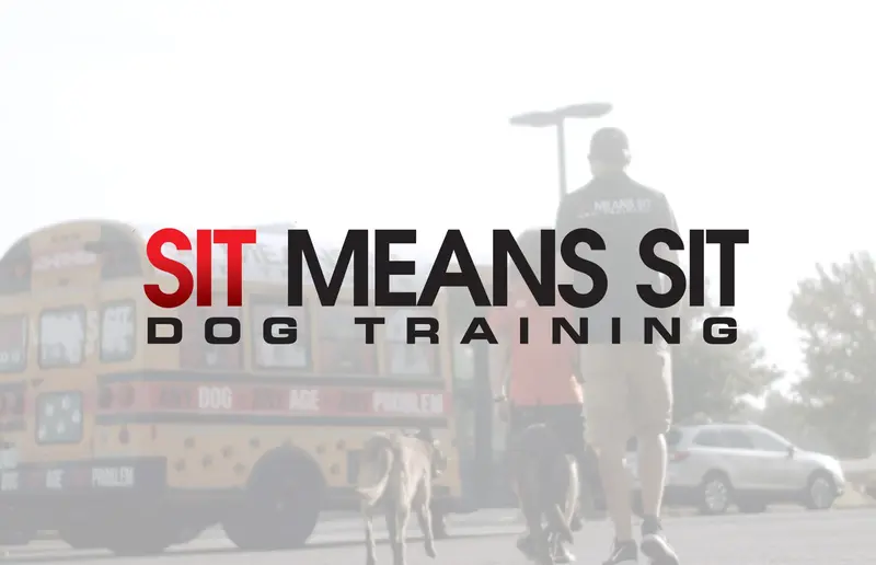 Sit Means Sit
