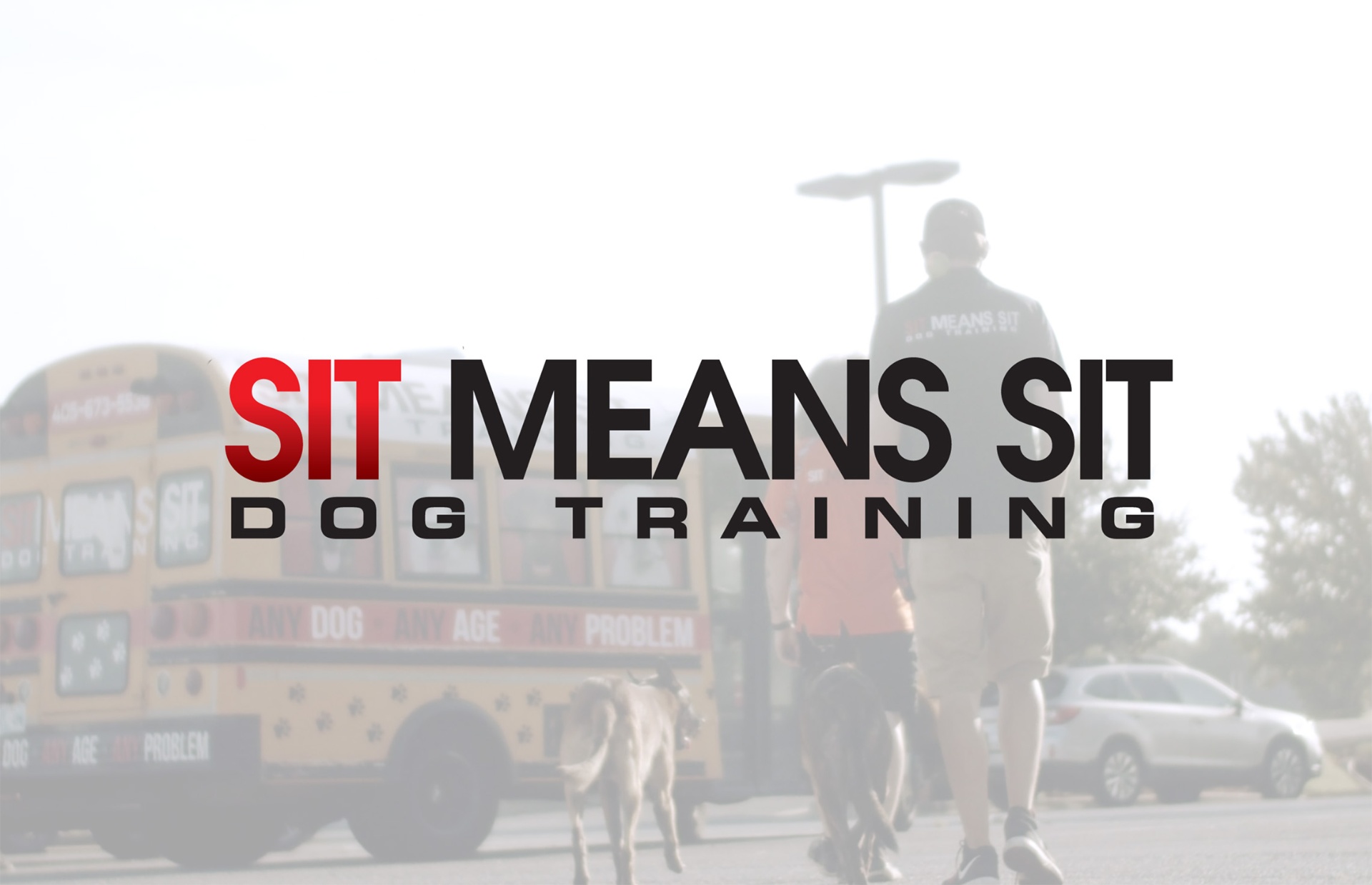 Sit Means Sit